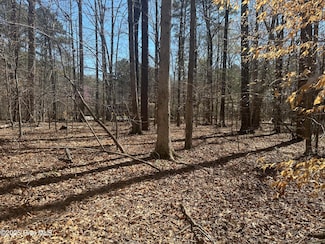 1542 Green Meadow Ln, Rocky Mount, NC 27804