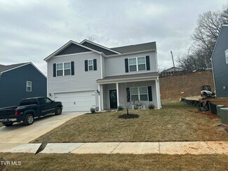 318 Terrapin Dr, Johnson City, TN 37604