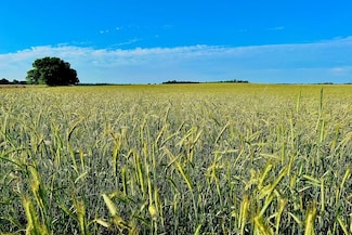 Tbd, Pratt, KS 67066