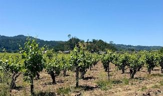 0 Rosedale Rd, Calistoga, CA 94515