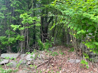 0 Ball Hill Rd, Milford, NH 03055
