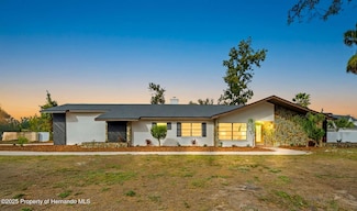 916 River Rapids Ave, Brandon, FL 33511