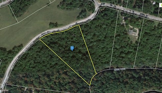 0 White Creek Loop, Deer Lodge, TN 37726