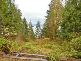 50 Mountain Trail Ct, Brinnon, WA 98320