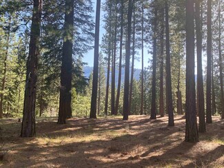 664 Bobcat Trail Unit Lot 26, Clio, CA 96106