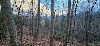 Lot 10 Seay Mountain Rd, Waynesville, NC 28785