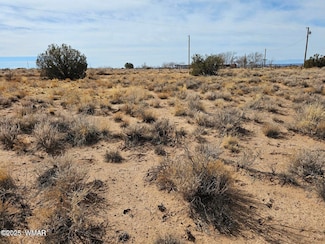 2604 Sundown Dr, Snowflake, AZ 85937