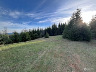 323 xx Parpala Rd, Naselle, WA 98638