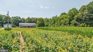 16278 History Land Hwy, Warsaw, VA 22572