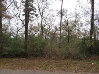 0 Pinebrook Dr, New Caney, TX 77357