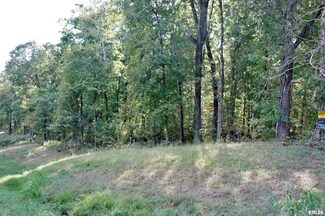 0 Mount Pleasant Rd Unit EB416540, Brookport, IL 62910