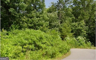 1481 Phillips Cove Dr, Hiawassee, GA 30546