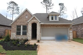 415 Embden Rim Dr, Willis, TX 77318