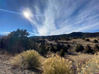 2728 Bear Creek Cir, South Fork, CO 81154