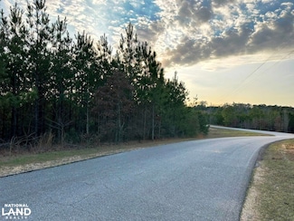 0 Pine Ridge Road Tract 2, Purvis, MS 39475