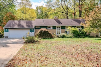 8804 Shandle Blvd, Mentor, OH 44060