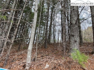 4 Speckled Dr, Laurel Springs, NC 28644