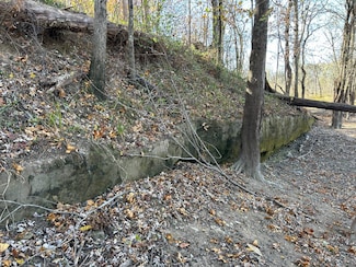 0 County Road 650 N 62837