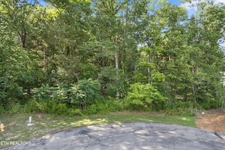 0 Bay Shore Dr Unit 1309980, Rockwood, TN 37854