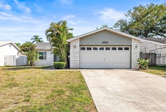 1913 Peppertree Dr, Oldsmar, FL 34677