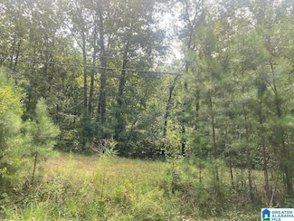 LOT 4 N Walston Bridge Rd Unit 4, Jasper, AL 35504