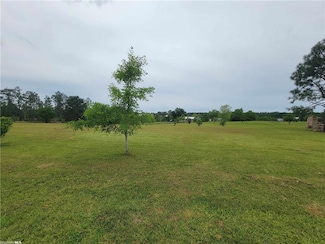 15799 Fawns Run Rd, Bay Minette, AL 36507