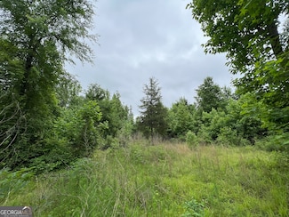 20 Emmaus Dr, Elberton, GA 30635