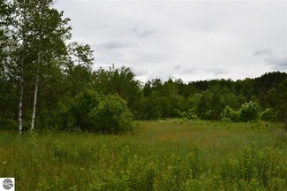 10929 Donathon Rd SE, Fife Lake, MI 49633