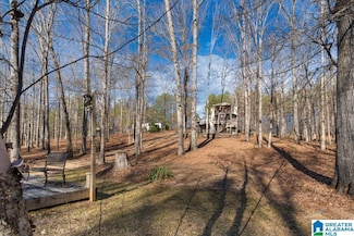 292 Pine Ridge Rd, Wedowee, AL 36278