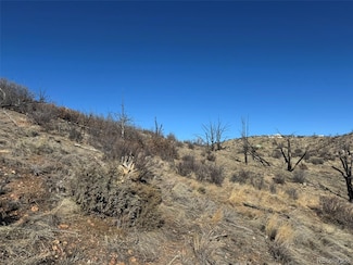 0 F Path and 37th Trail, Cotopaxi, CO 81223