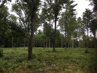 0 Peters Farm Rd, Norman Township, MI 49644