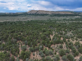 0 Tbd Highway 84, Tierra Amarilla, NM 87575
