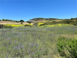 24201 Mulholland Hwy, Hidden Hills, CA 91302