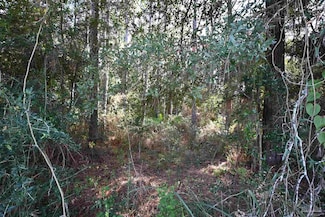 6417 Dickerson City Rd, Milton, FL 32583