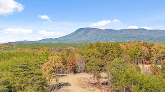 Tract 92 Conniston Rd, Chatsworth, GA 30705