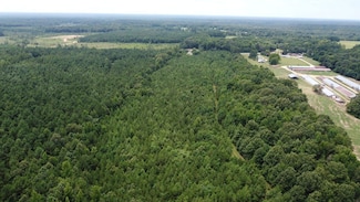 U S Highway 63, Rison, AR 71665