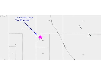 0 Black Canyon Rd Unit TL 200 430850813, Plush, OR 97637