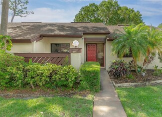 2907 Boxwood Ct, Palm Harbor, FL 34684