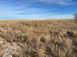 0, Muleshoe, TX 79347