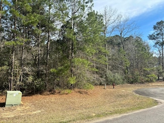 226 Spotted Owl Ln, Moncks Corner, SC 29461