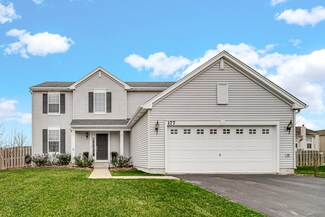 177 Telluride Ln, Volo, IL 60020