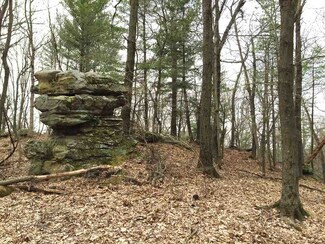 0 Dyreson Rd Unit 1770377, Wyoming, WI 53533
