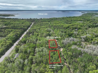 XXX2 Cedar St, Breezy Point, MN 56472