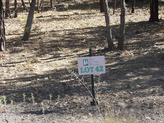 2521 S Willow Way, Pinetop, AZ 85935