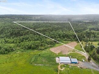 235 Allison Rd, Ethel, WA 98542