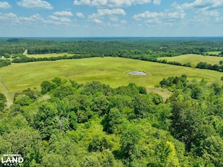 0 Mcdowell Rd, Belmont, AL 35470