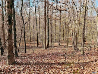 3 County Road 137 Unit 504549, Cedar Bluff, AL 35959