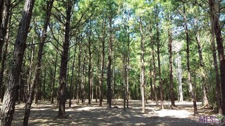 Tract B,C,D Barber Rd, Franklinton, LA 70438