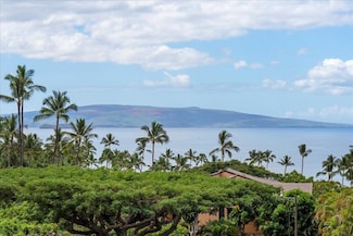 3300 Wailea Alanui Dr Unit 17D, Kihei, HI 96753