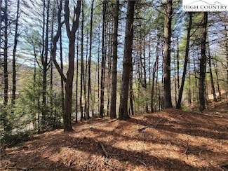 73 Creekside Meadows Dr, Fleetwood, NC 28626